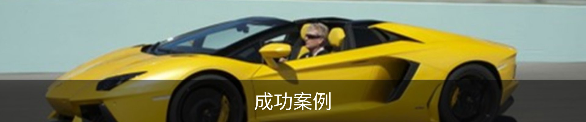 成功案例